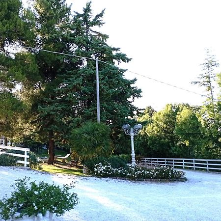 Mombaroccio B&B Profumo Di Gelsomino מראה חיצוני תמונה
