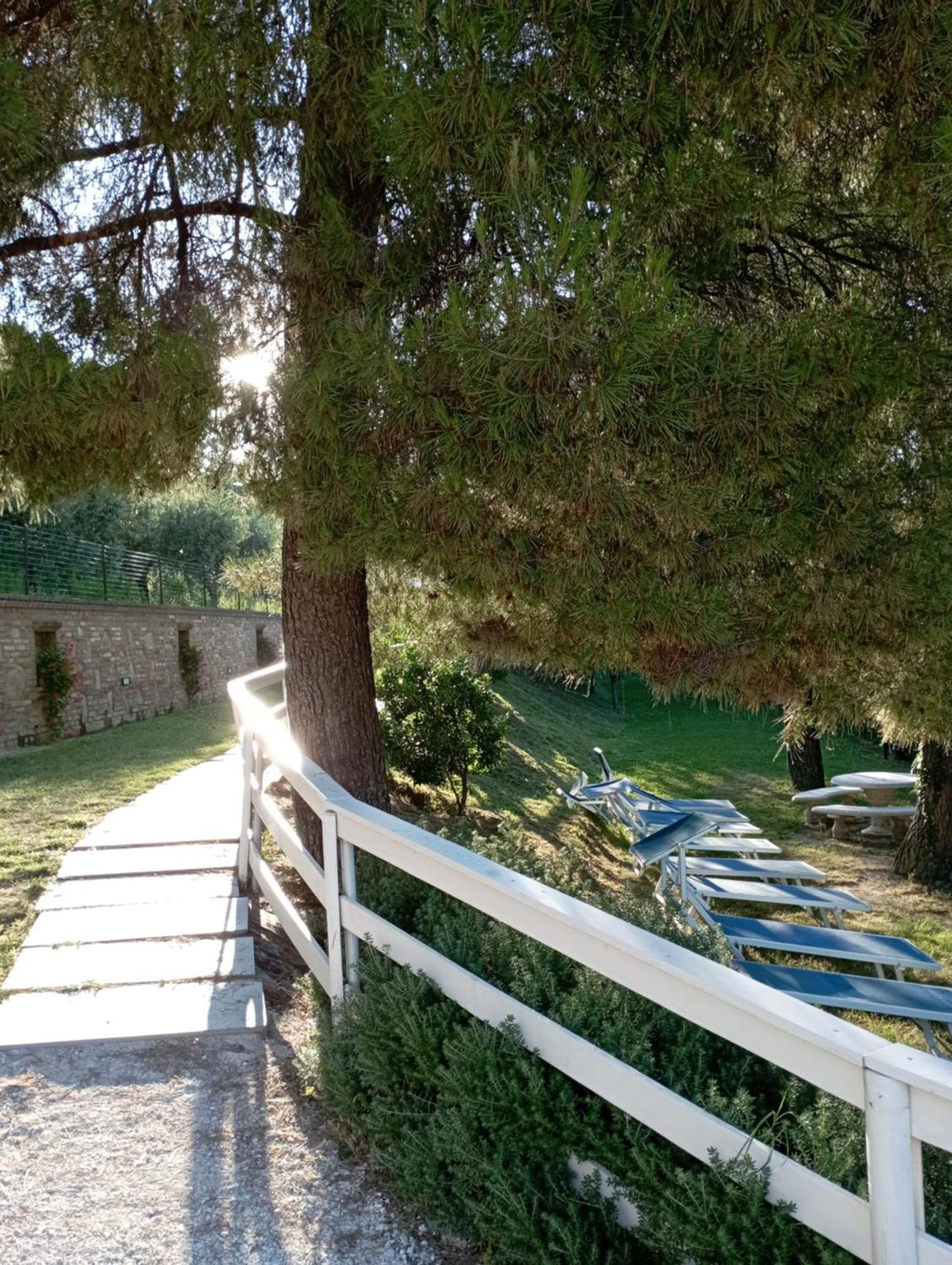 Mombaroccio B&B Profumo Di Gelsomino מראה חיצוני תמונה